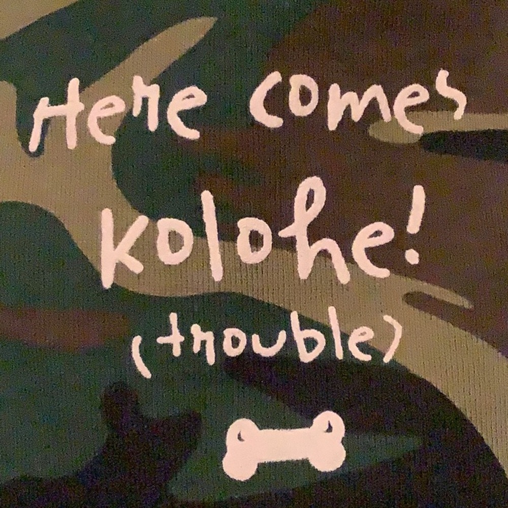 Camo Dog Tee “Here comes Kolohe! (Trouble) 🦴 ” L (24- 45 lbs.) NWT, 100% Cotton